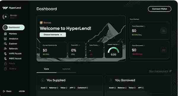 HyperEVM生态热门项目分析:未来前景如何?